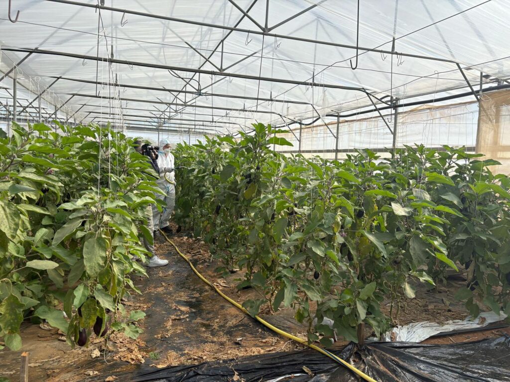 486412368_122117760086797417_2868641815736836915_n